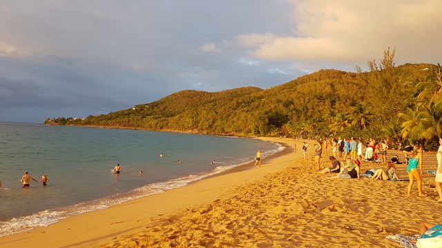 plage-grande-anse-deshaies-guadeloupe