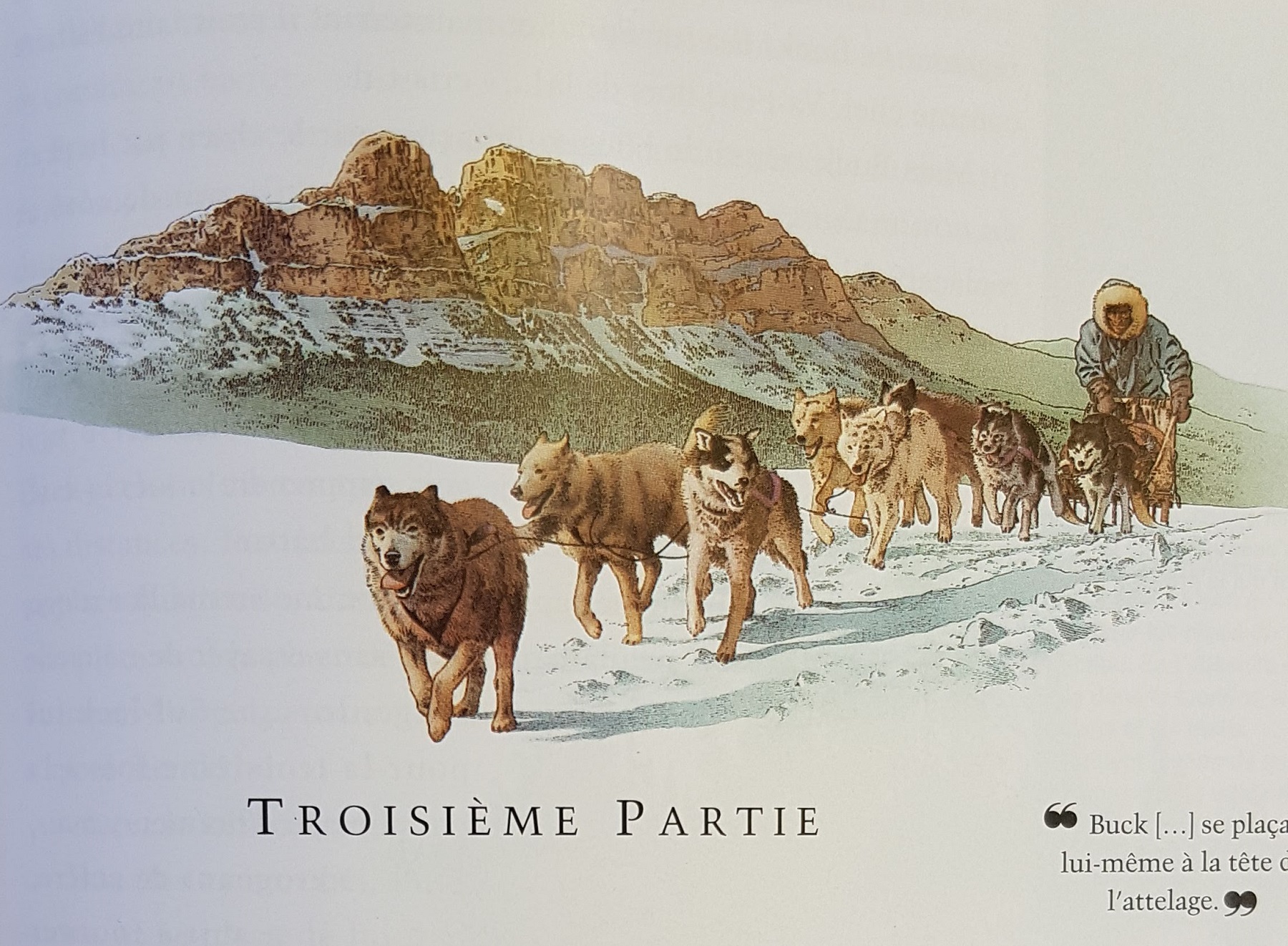 l'appel de la forêt buck illustrations