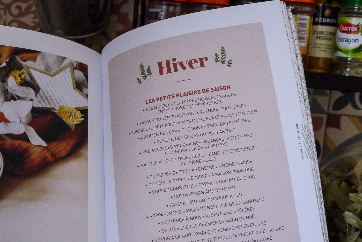 bonheurs de l'hiver miss blemish