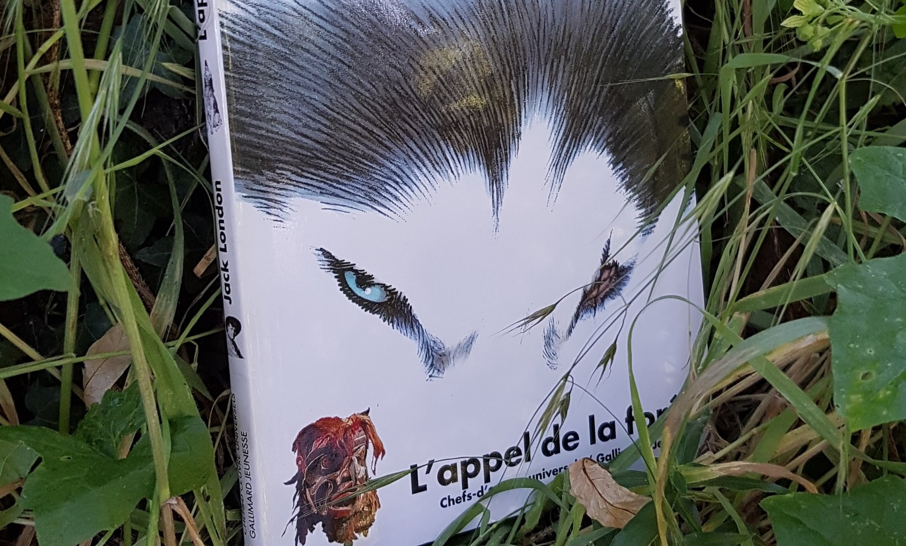 l'appel de la forêt - jack london